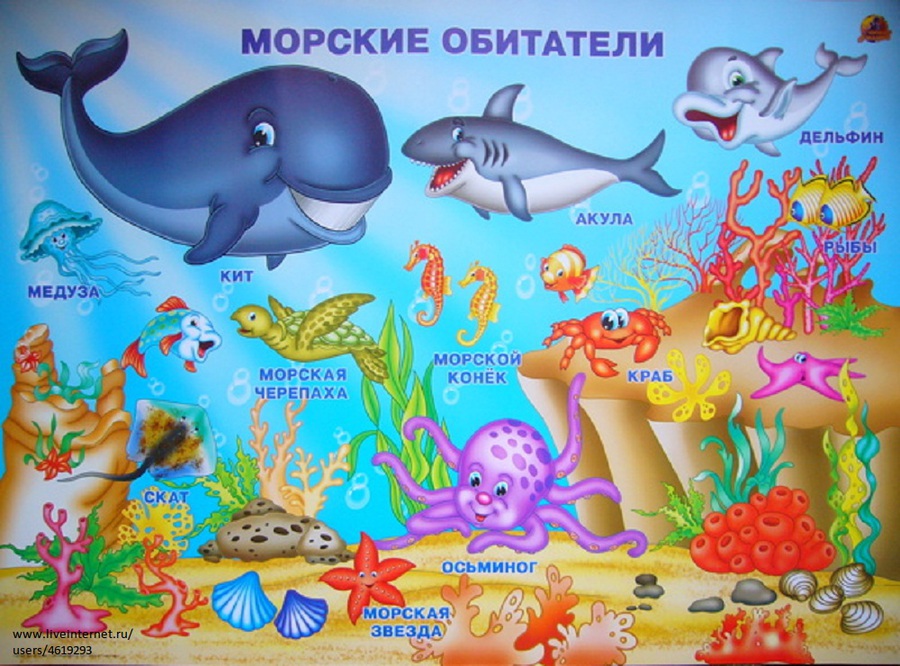 Соц проект сексуальные меньшинства